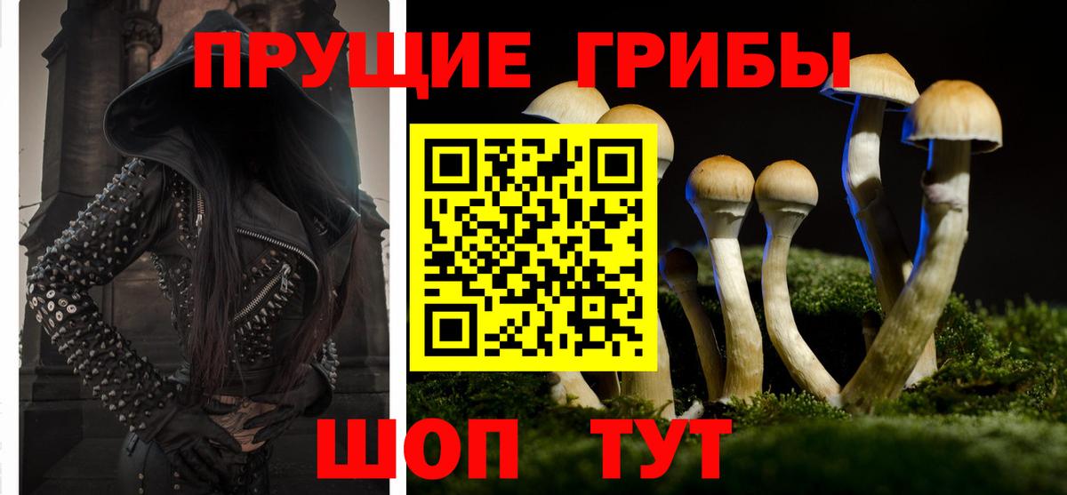 Комсомольск-на-Амуре  Псилоцибиновые грибы мицелий  Вход с VPN 